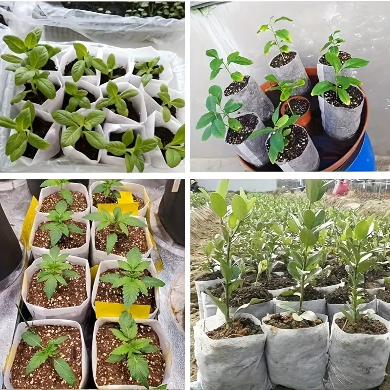 Fleece Plant Bags - Compostable Growing Bags for Plants