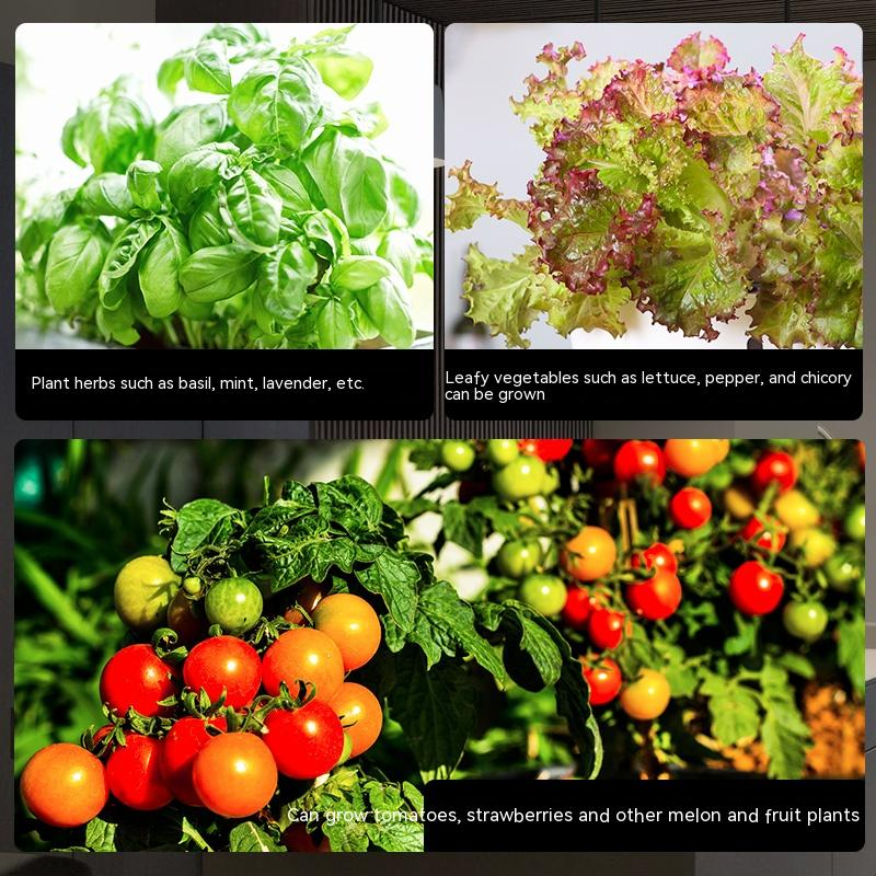 Intelligent Hydroponics Set for Indoors - Soil - Free Plant Cultivation at Home