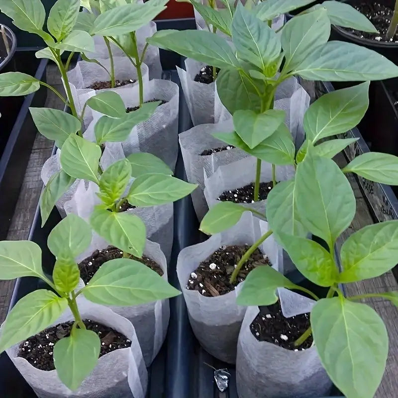 Fleece Plant Bags - Compostable Growing Bags for Plants