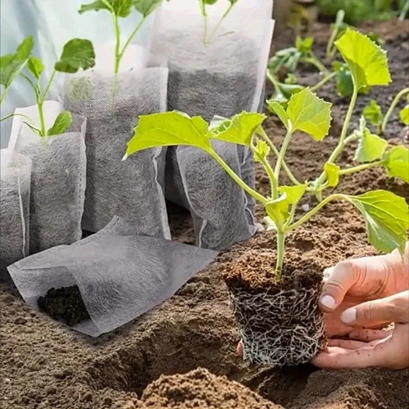 Fleece Plant Bags - Compostable Growing Bags for Plants