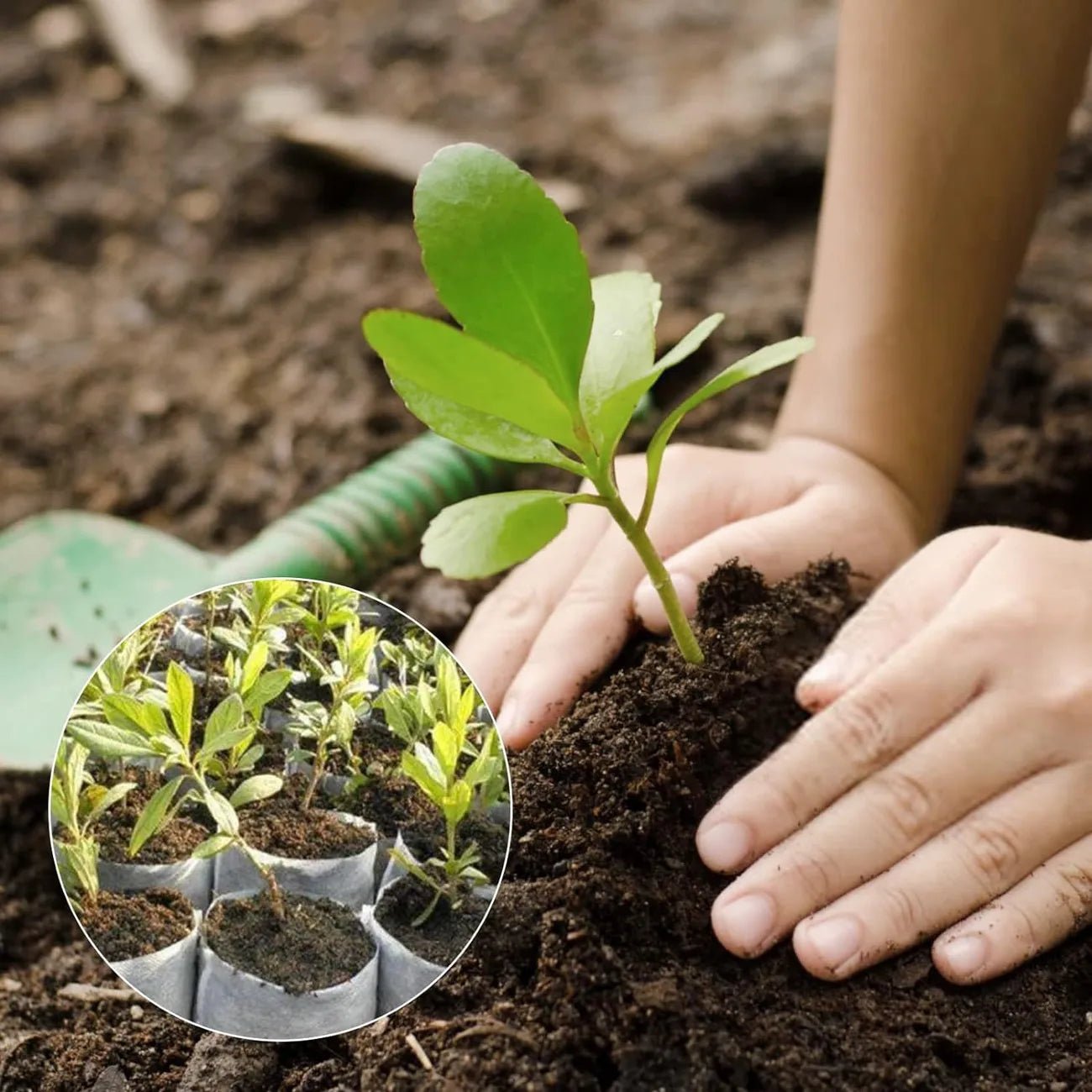 Fleece Plant Bags - Compostable Growing Bags for Plants