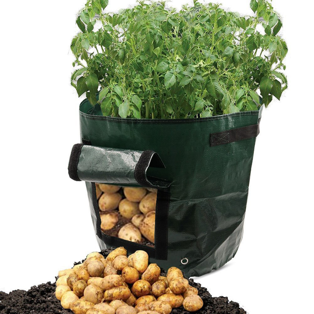 Planting Bag for Potatoes - Reusable and with Viewing Window