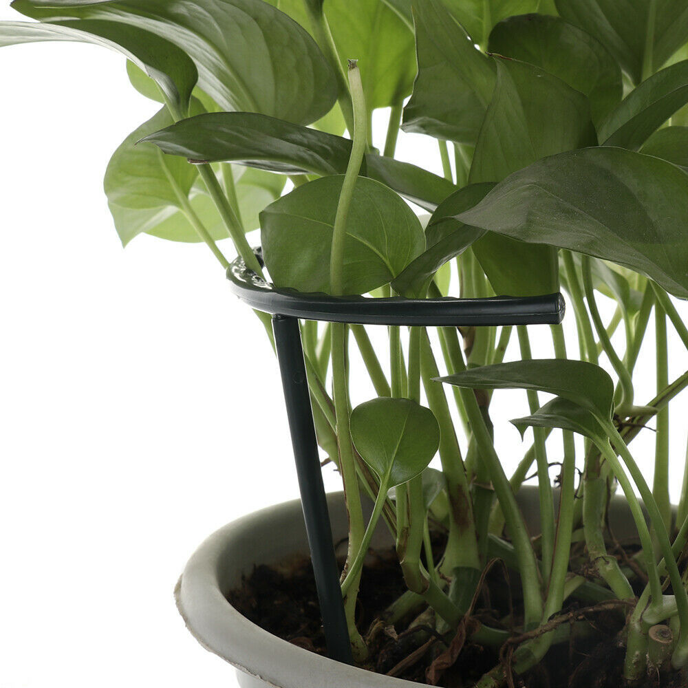 Climbing Support for Plants - Robust Support with Cage Design for Growth and Stability
