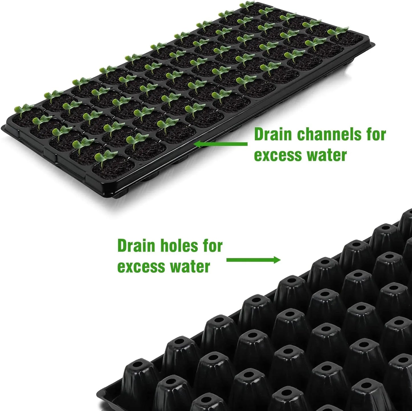 Rectangular Plant Tray - Seed Tray for Efficient Germination and Growth of Seedlings
