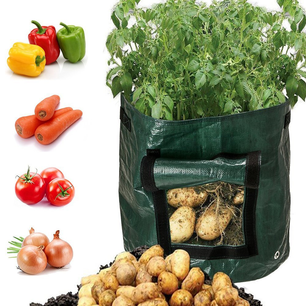 Planting Bag for Potatoes - Reusable and with Viewing Window