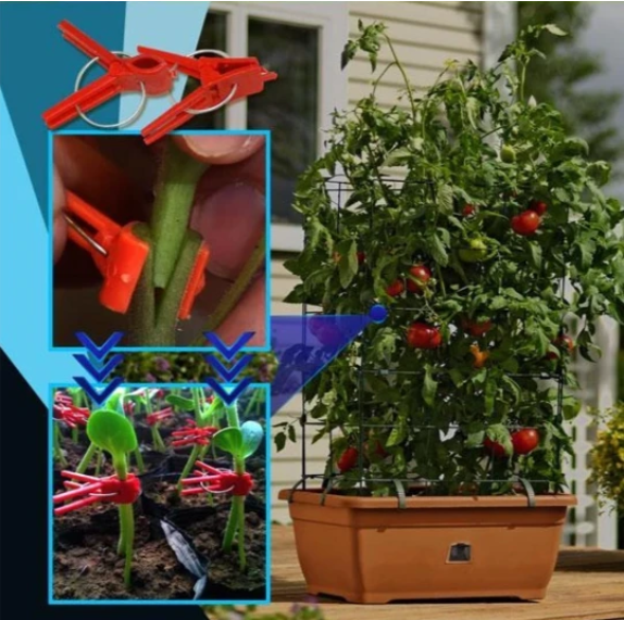 Plastic Grafting Clips for Garden Plants - Ideal for Vegetables and Plant Care