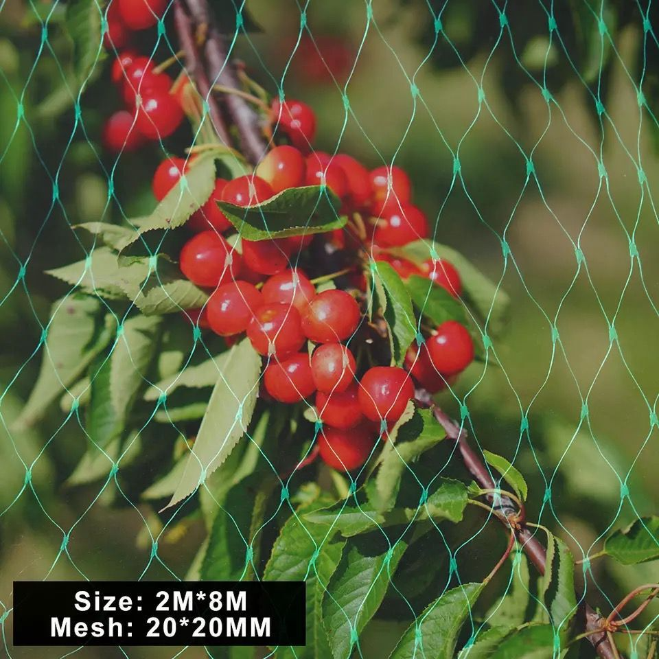 Protective Netting for Garden Plants - Green Netting Against Pests and Animals