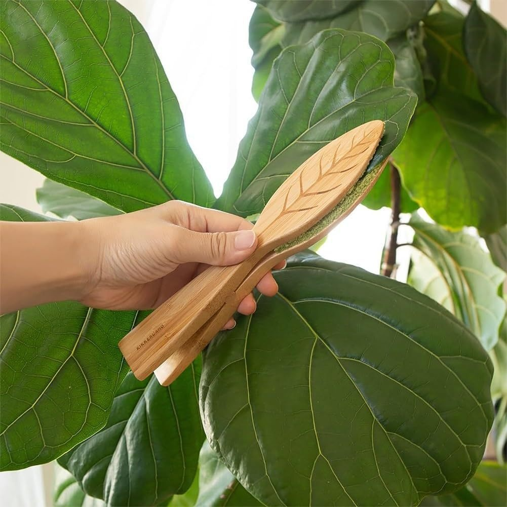 Plant Leaf Cleaning Tongs Made of Wood for Gentle Leaf Care