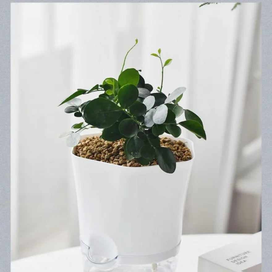 Plant Pot with Water Reservoir - Self - Watering Flower Pot for Houseplants
