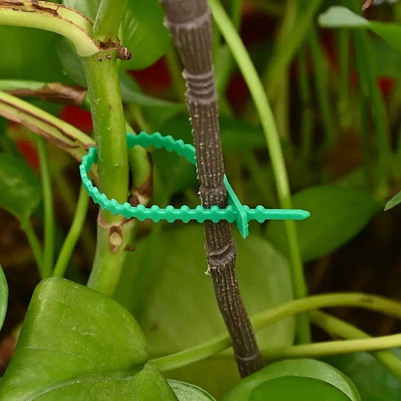 Plant Fixing Cable Tie Set for Stable Fastening of Plants