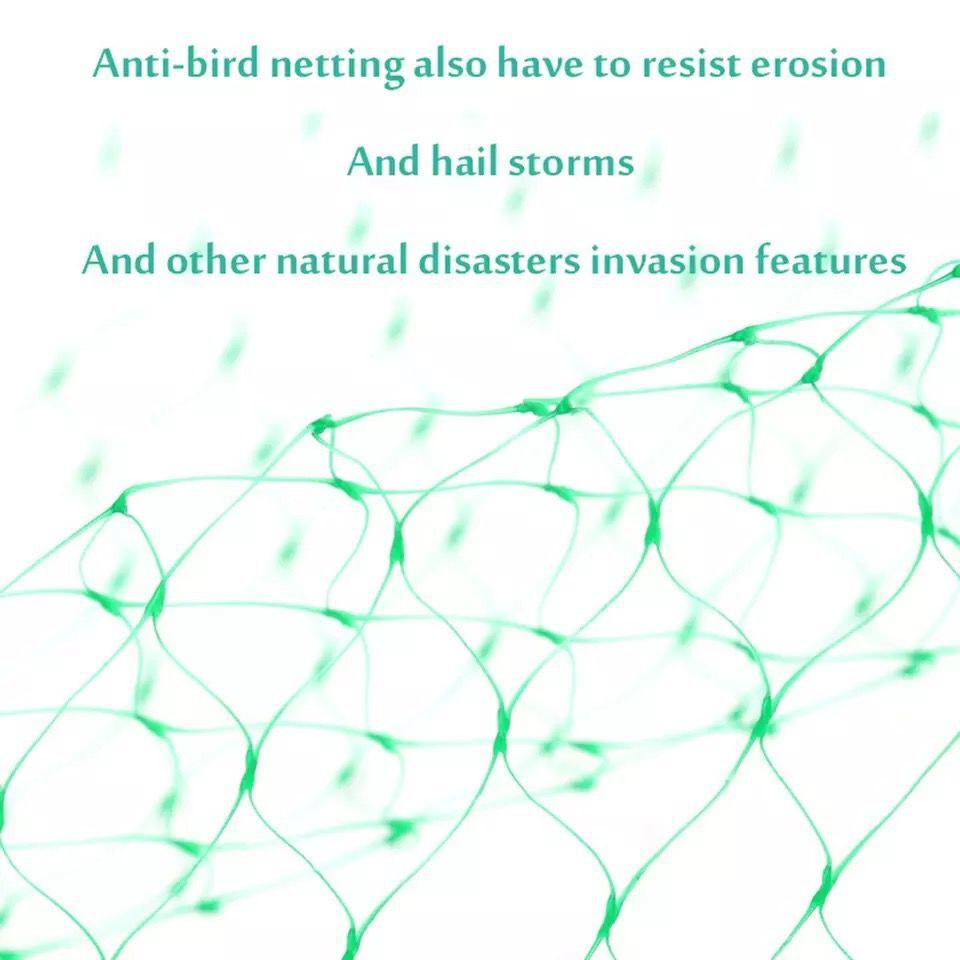 Protective Netting for Garden Plants - Green Netting Against Pests and Animals