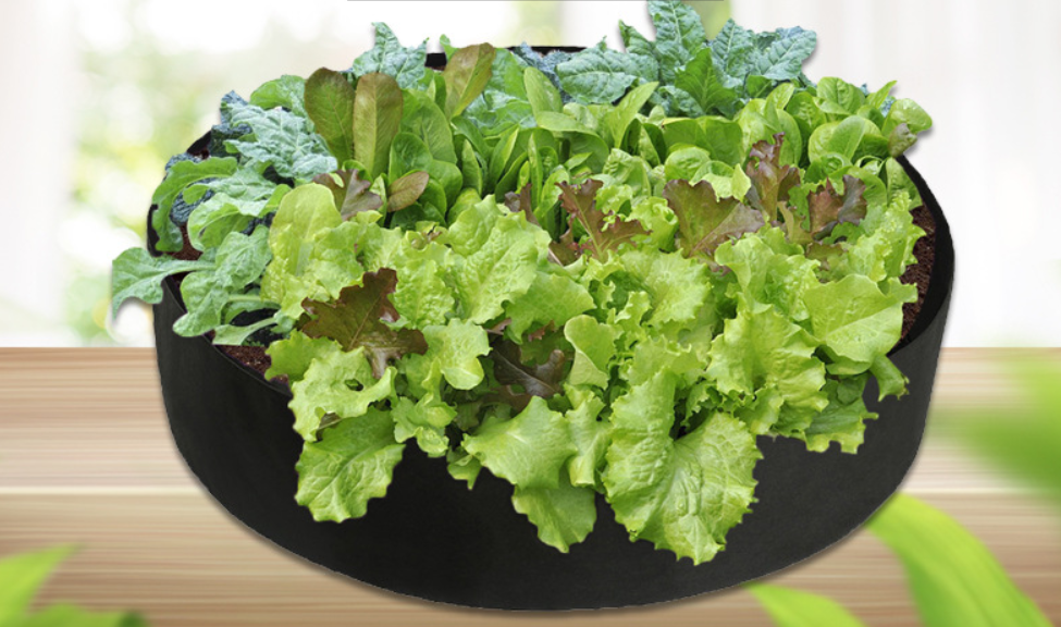 Round Plant Growth Bag - Garden Container for Easy Plant Growth