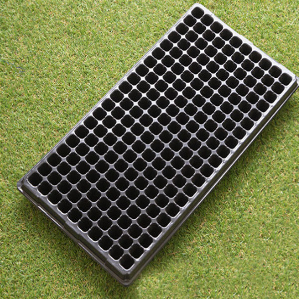 Rectangular Plant Tray - Seed Tray for Efficient Germination and Growth of Seedlings