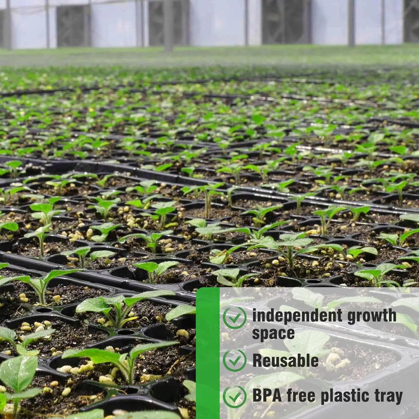 Rectangular Plant Tray - Seed Tray for Efficient Germination and Growth of Seedlings