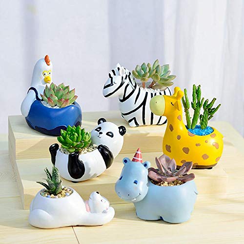 Animal Planters - Fun Animal Designs for Succulents and Cacti