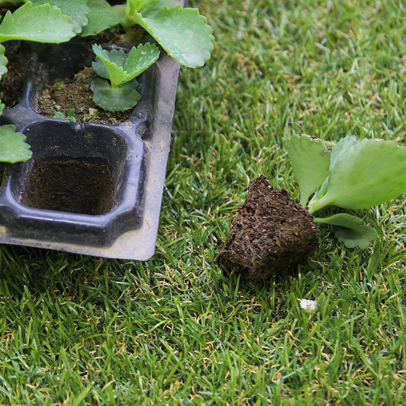 Rectangular Plant Tray - Seed Tray for Efficient Germination and Growth of Seedlings