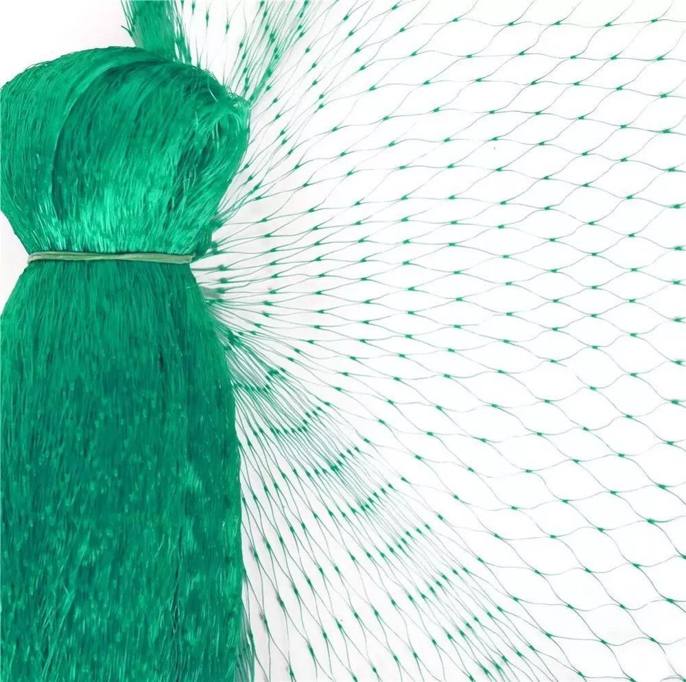 Protective Netting for Garden Plants - Green Netting Against Pests and Animals