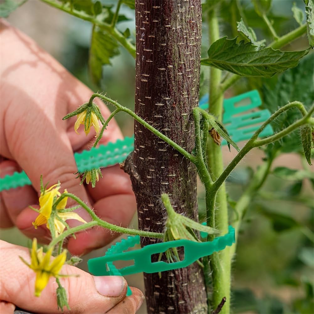 Plant Fixing Cable Tie Set for Stable Fastening of Plants