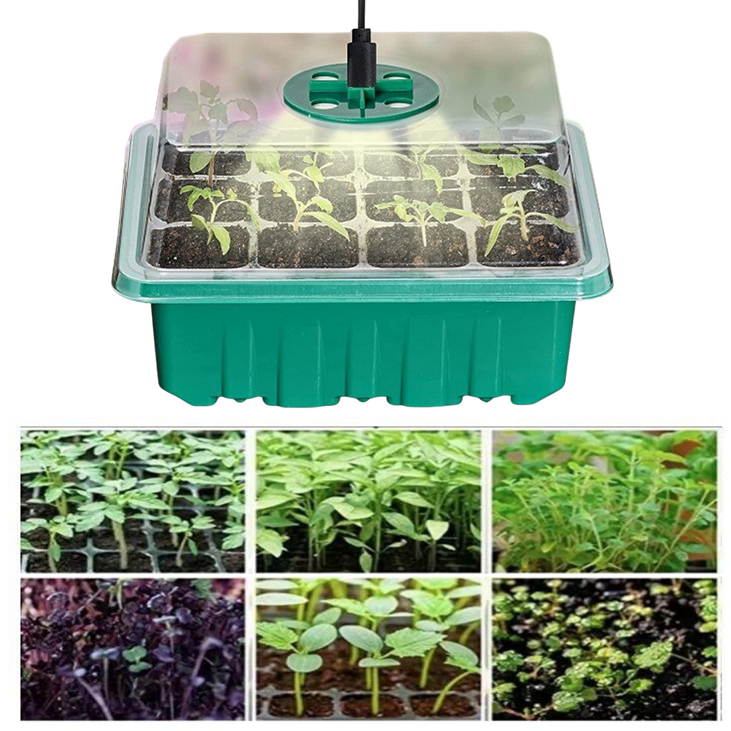 Cultivation Set with Light - Complete Set for Successful Plant Cultivation