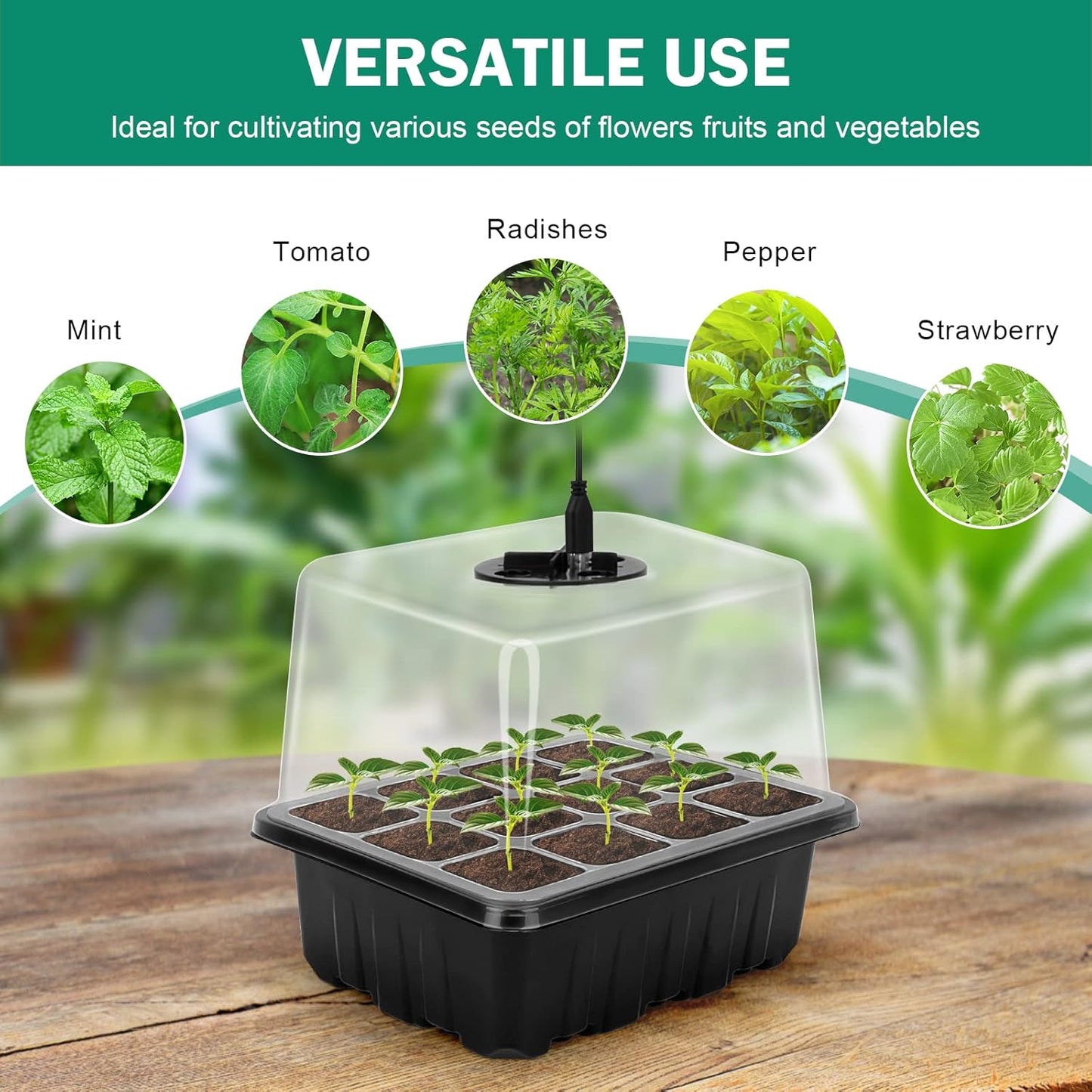 Cultivation Set with Light - Complete Set for Successful Plant Cultivation