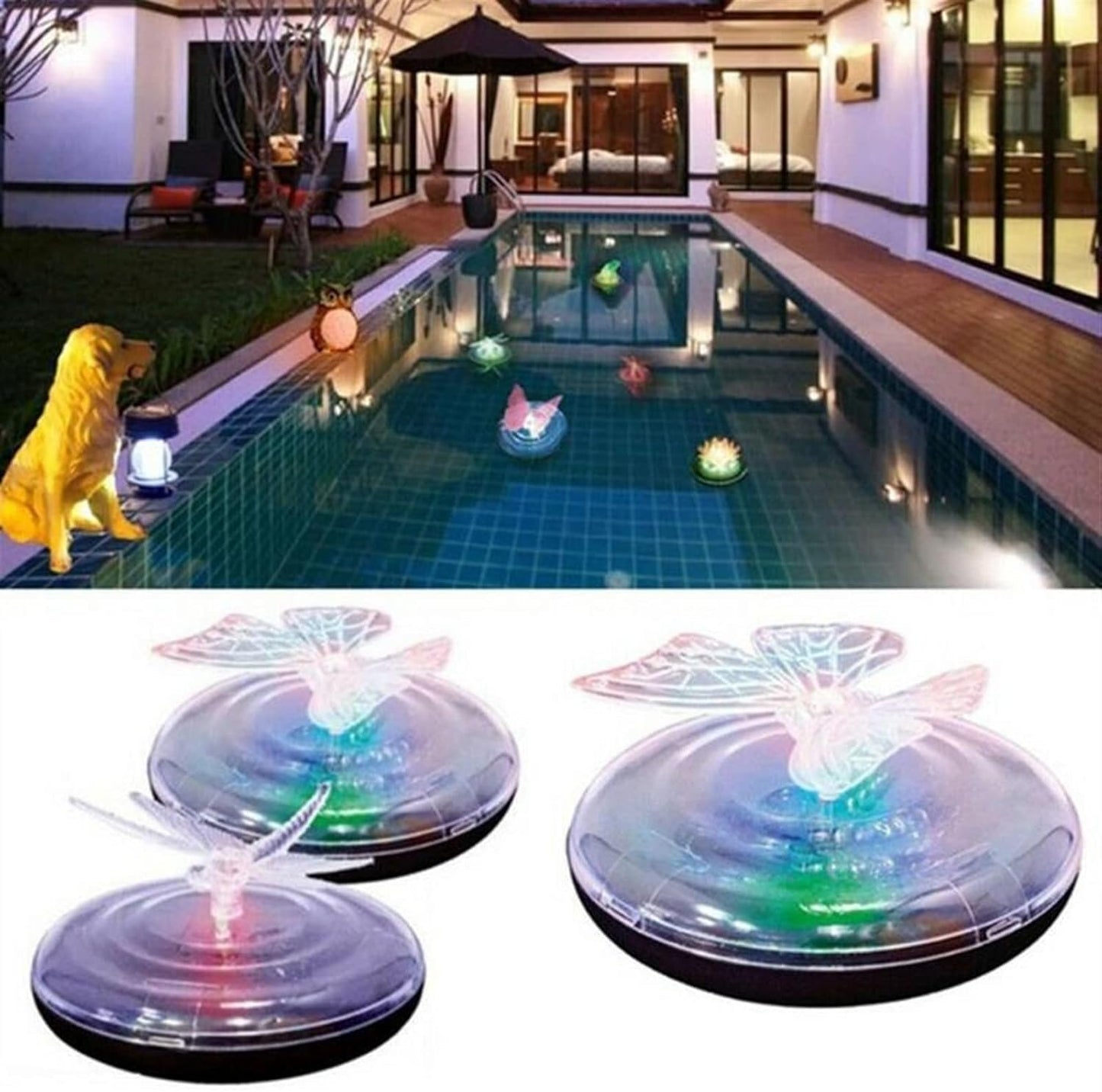 Solar - Powered Pond Decoration Butterfly and Dragonfly - Colour - Changing Led Lights for Garden and Pond