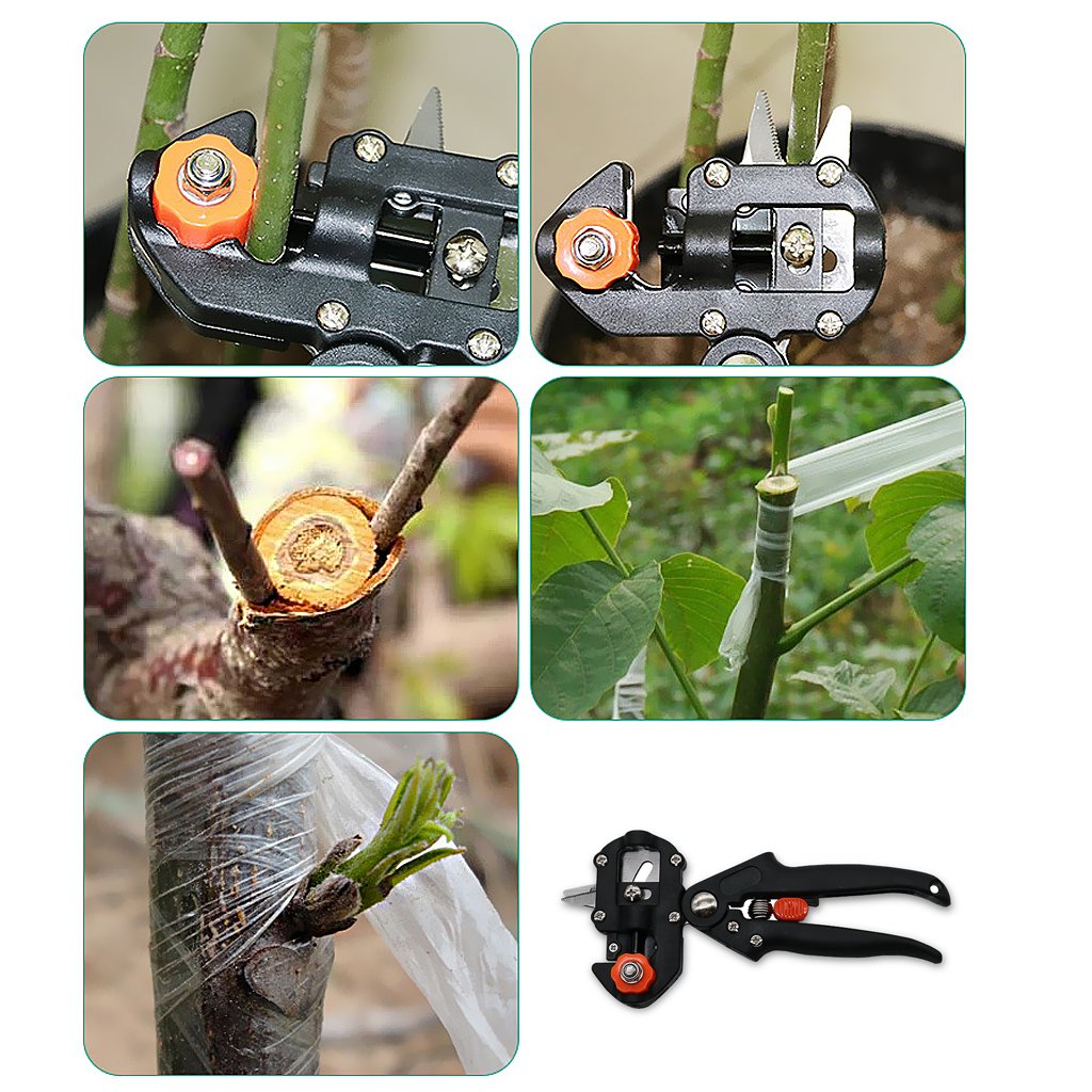 Grafting and Pruning Tool Set for Precise Plant Grafting