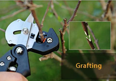 Grafting Shears for Garden - Precise Cutting Tools for Grafting and Refining Plants
