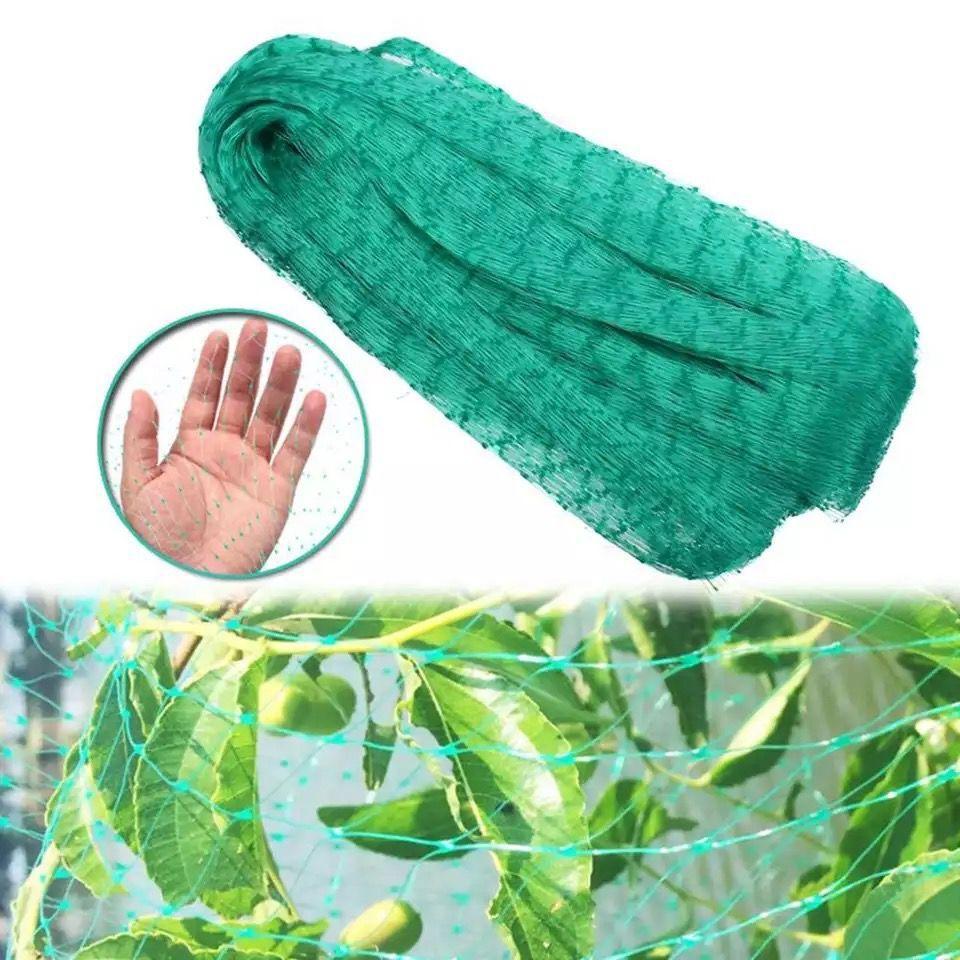 Protective Netting for Garden Plants - Green Netting Against Pests and Animals