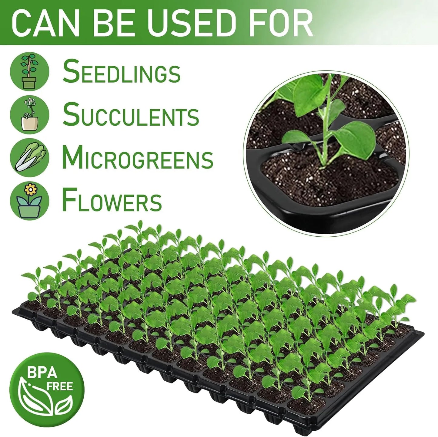 Rectangular Plant Tray - Seed Tray for Efficient Germination and Growth of Seedlings