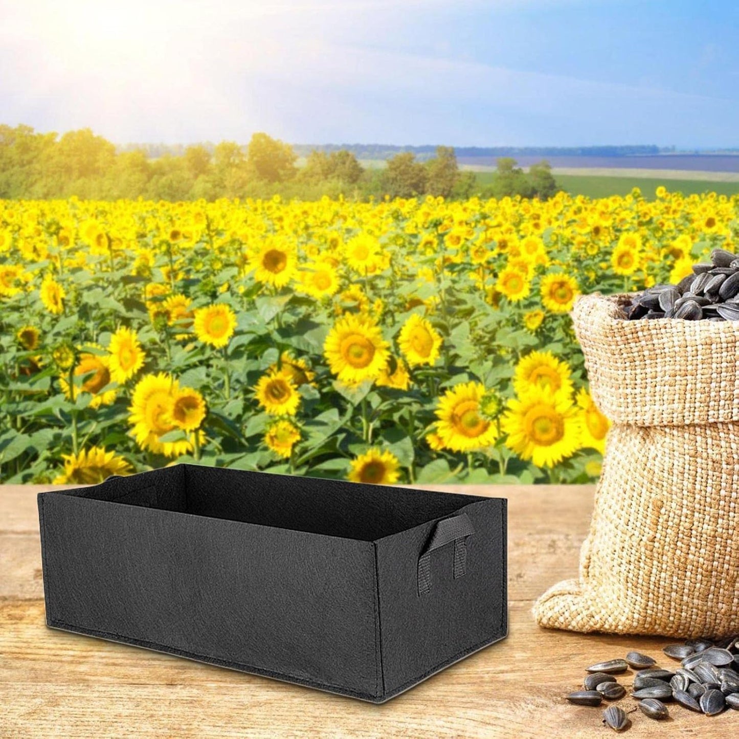 Foldable Felt Storage Box for Plants with Handles