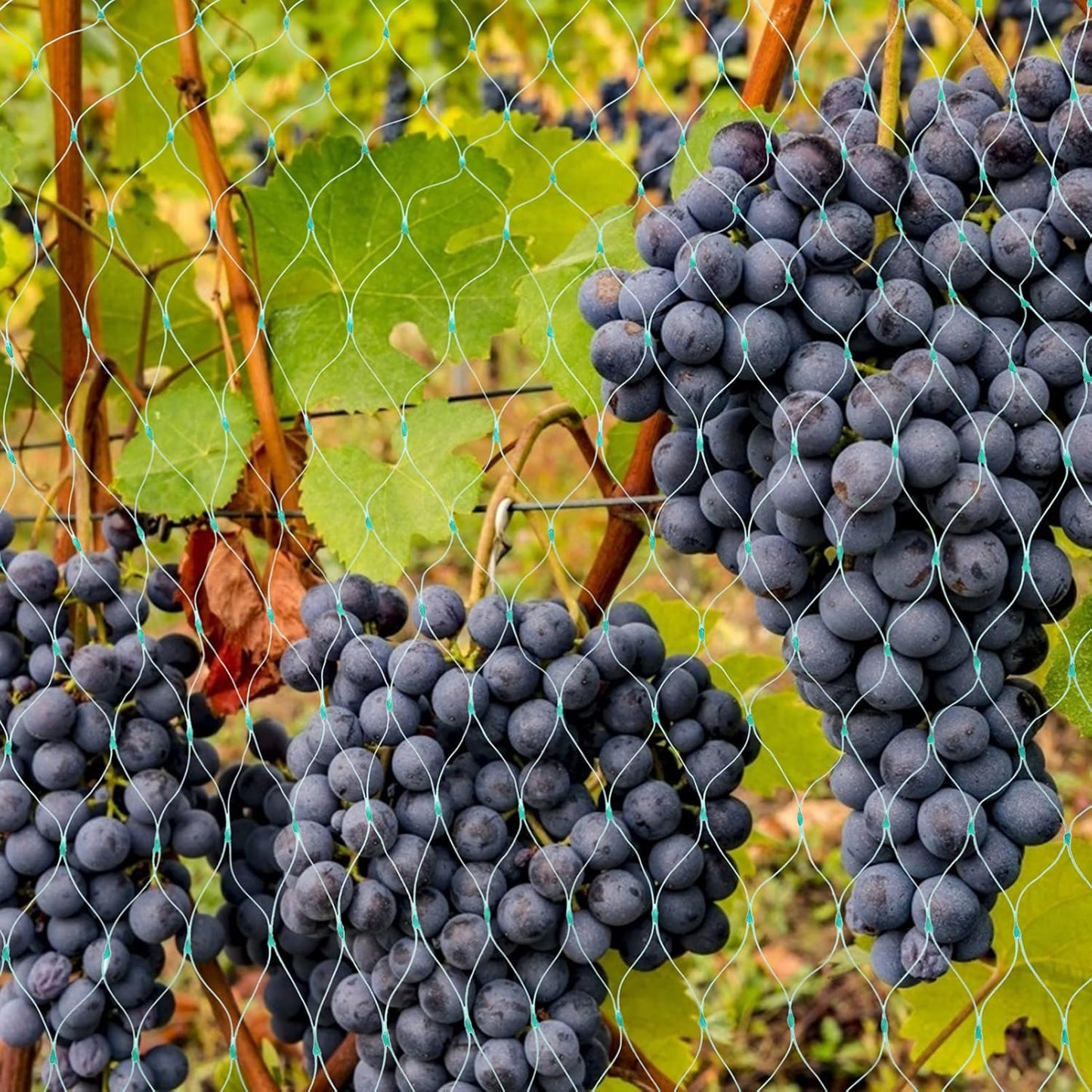 Protective Netting for Garden Plants - Green Netting Against Pests and Animals