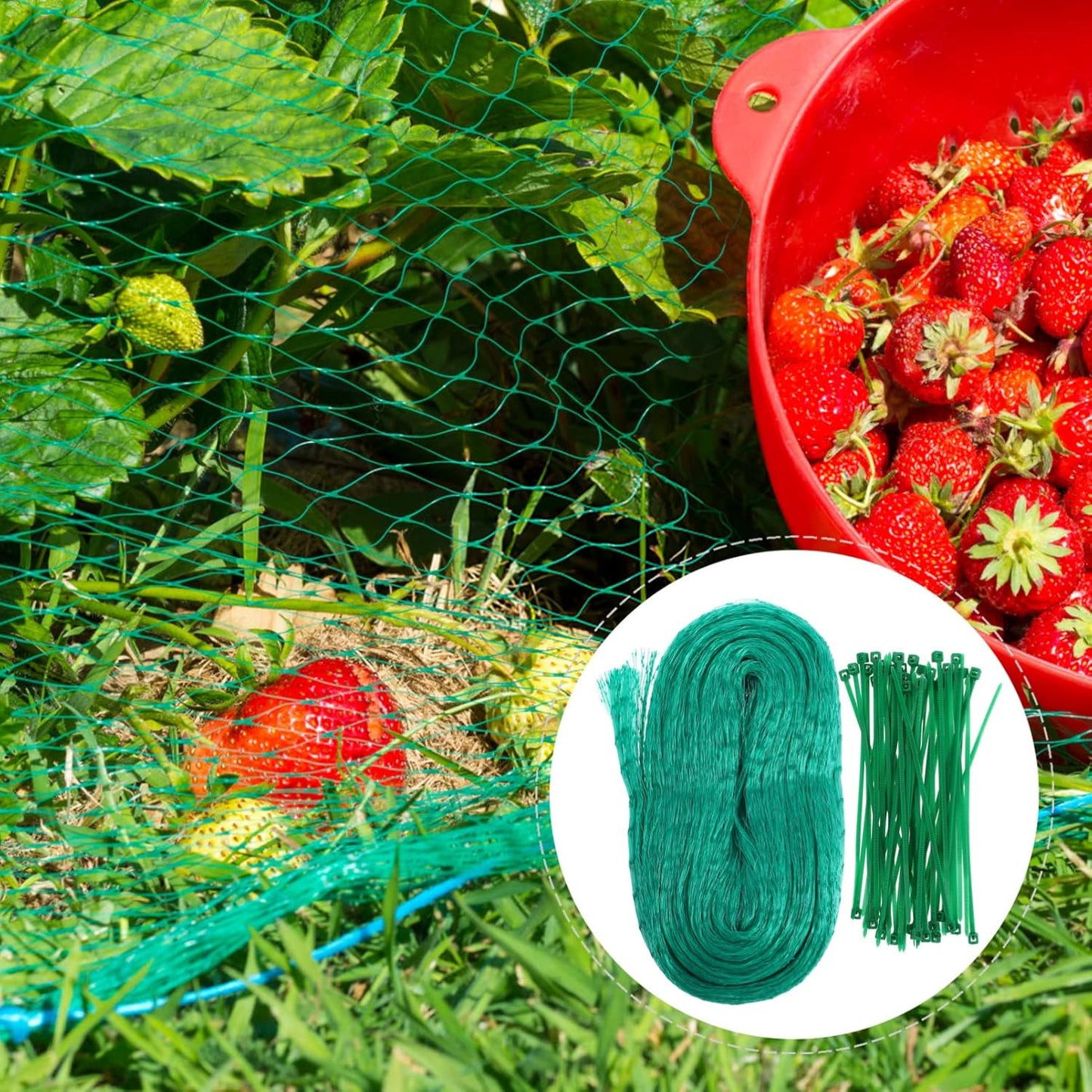 Protective Netting for Garden Plants - Green Netting Against Pests and Animals