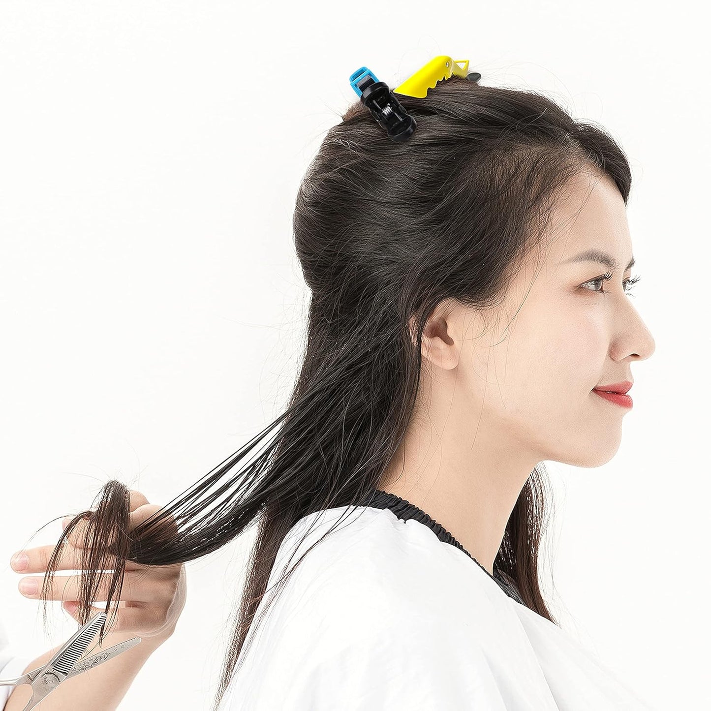 Professional Hair Styling Clips