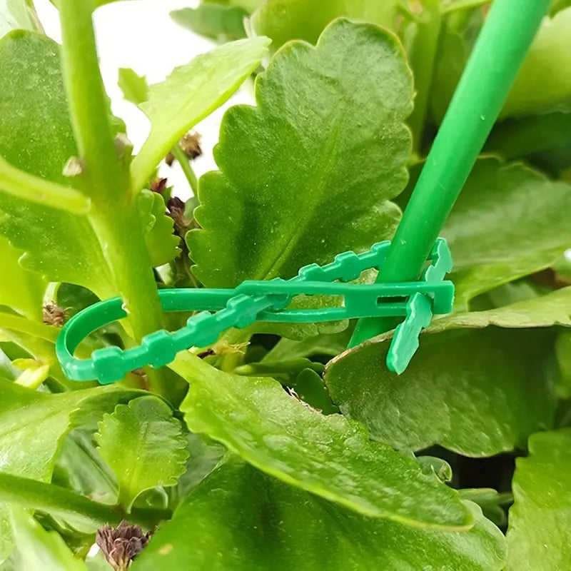 Plant Fixing Cable Tie Set for Stable Fastening of Plants