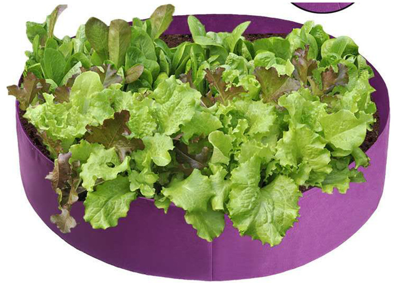 Round Plant Growth Bag - Garden Container for Easy Plant Growth