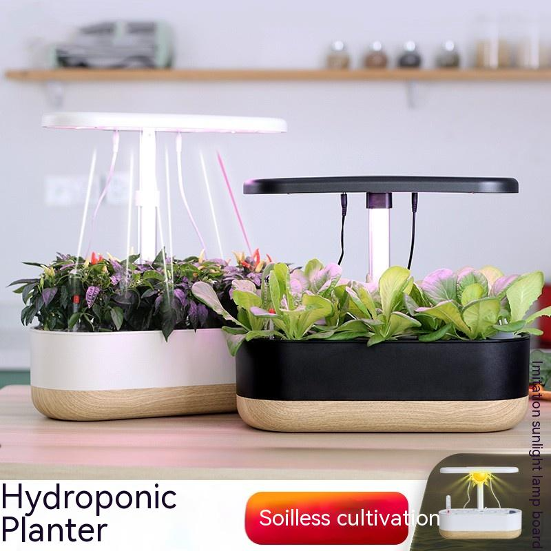 Intelligent Hydroponics Set for Indoors - Soil - Free Plant Cultivation at Home