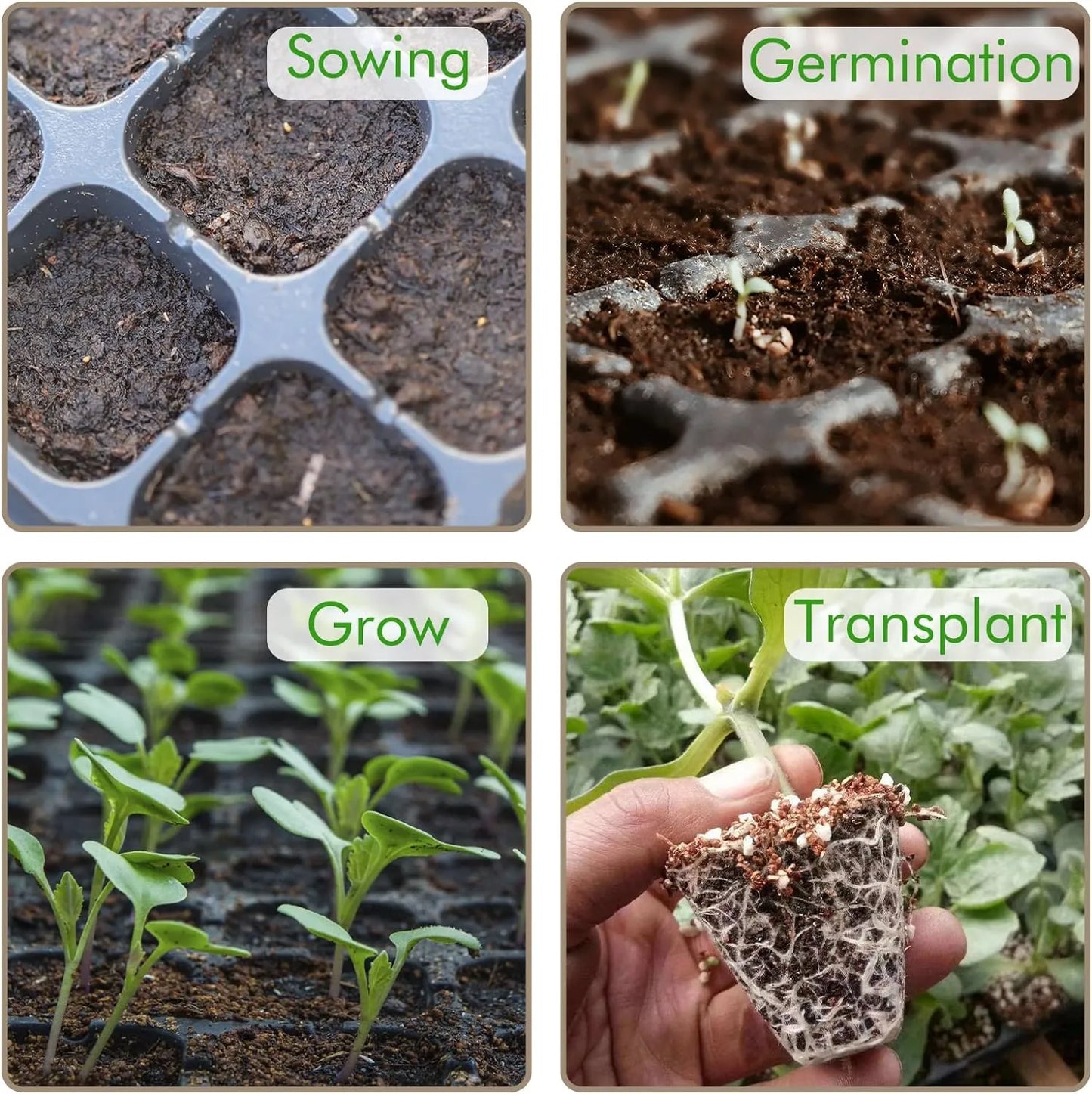 Rectangular Plant Tray - Seed Tray for Efficient Germination and Growth of Seedlings