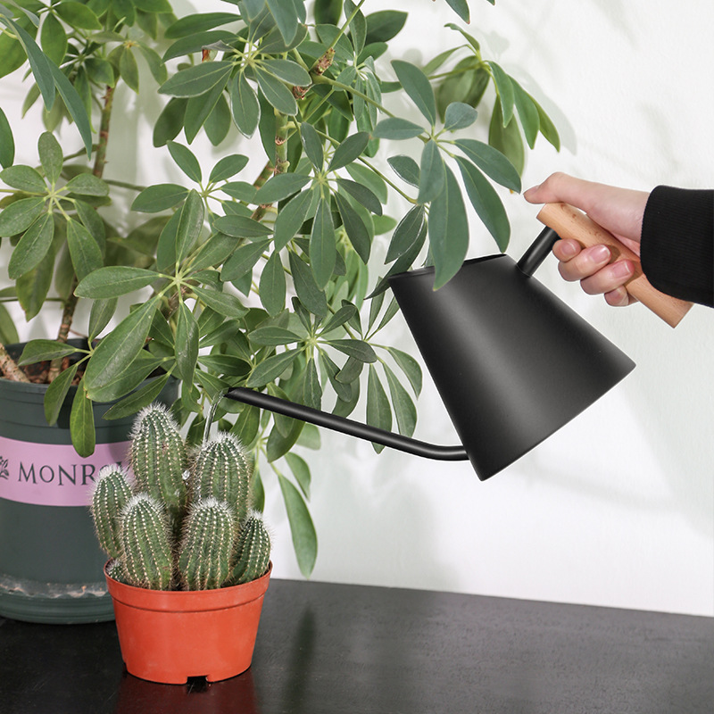 Modern Watering Can with Wooden Handle - Stylish Watering Can for Plants in the Garden