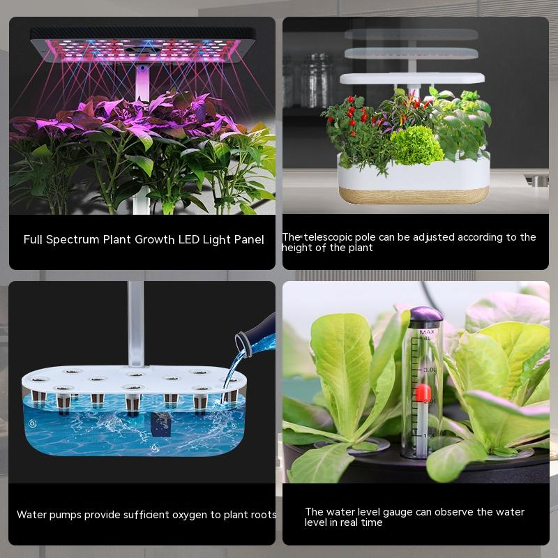 Intelligent Hydroponics Set for Indoors - Soil - Free Plant Cultivation at Home