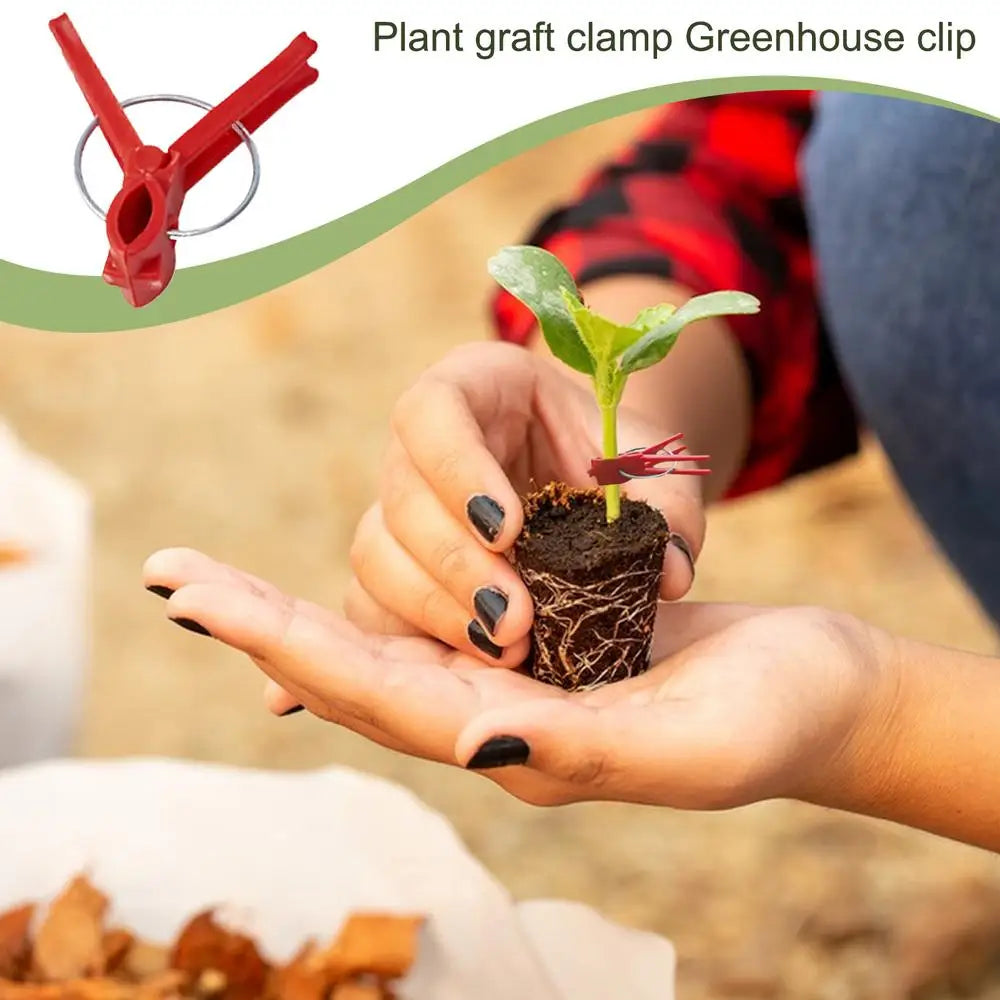 Plastic Grafting Clips for Garden Plants - Ideal for Vegetables and Plant Care