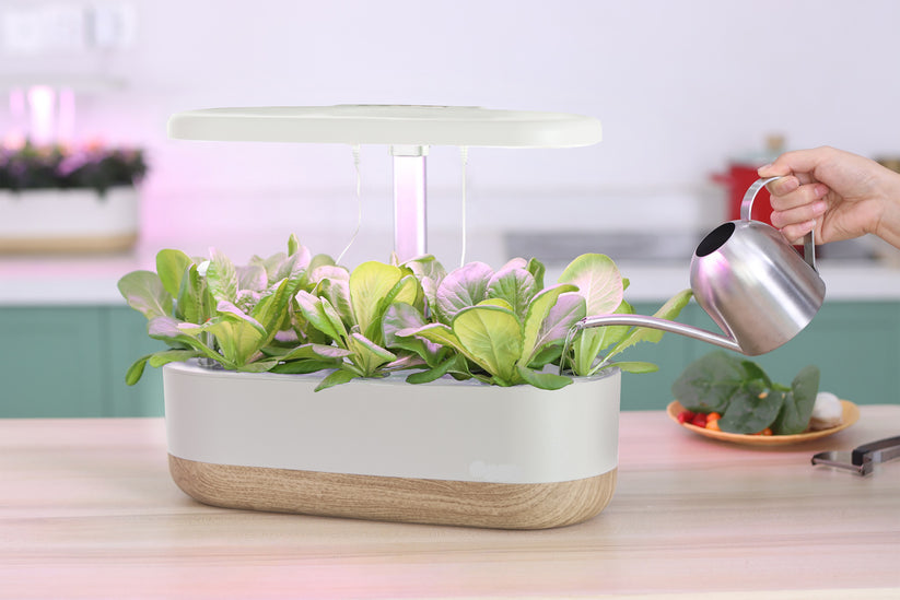 Intelligent Hydroponics Set for Indoors - Soil - Free Plant Cultivation at Home