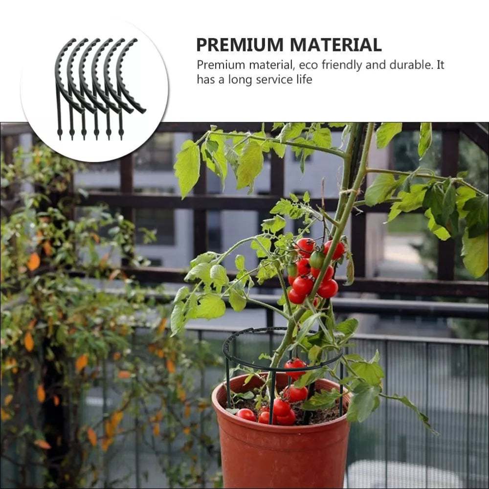Climbing Support for Plants - Robust Support with Cage Design for Growth and Stability