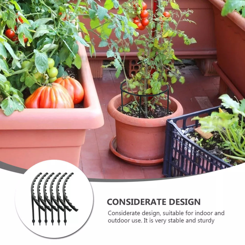 Climbing Support for Plants - Robust Support with Cage Design for Growth and Stability