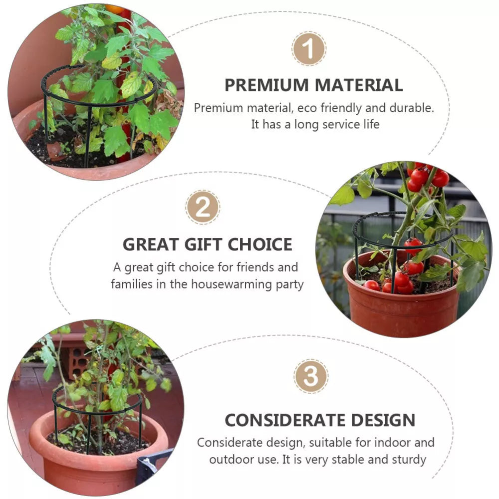 Climbing Support for Plants - Robust Support with Cage Design for Growth and Stability