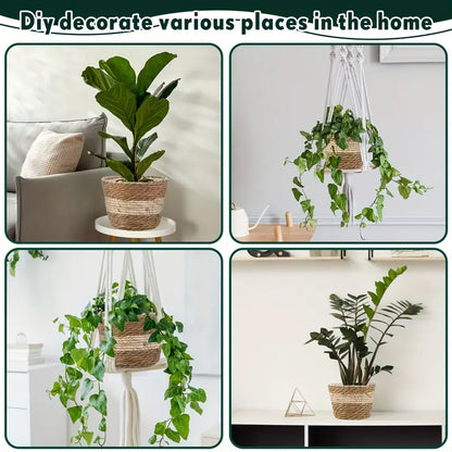 Decorative Plant Baskets Made of Seagrass in a Set of 3 - Hand - Woven Flower Pots with Foil Insert