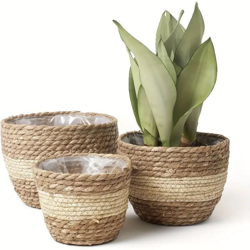 Decorative Plant Baskets Made of Seagrass in a Set of 3 - Hand - Woven Flower Pots with Foil Insert