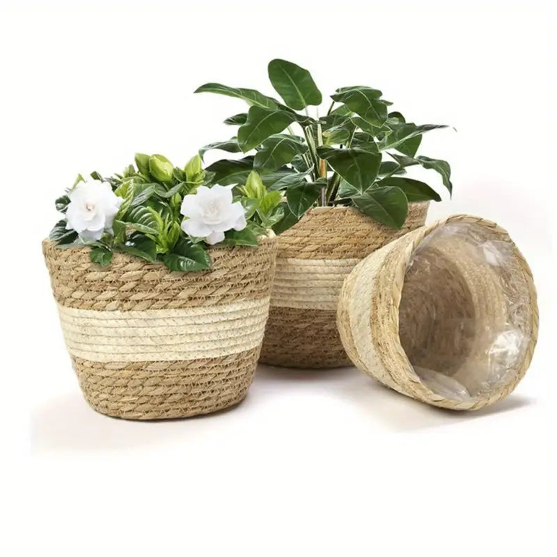 Decorative Plant Baskets Made of Seagrass in a Set of 3 - Hand - Woven Flower Pots with Foil Insert
