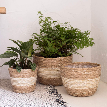 Decorative Plant Baskets Made of Seagrass in a Set of 3 - Hand - Woven Flower Pots with Foil Insert