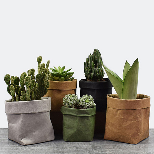 Stylish Paper Planters for Modern Decoration