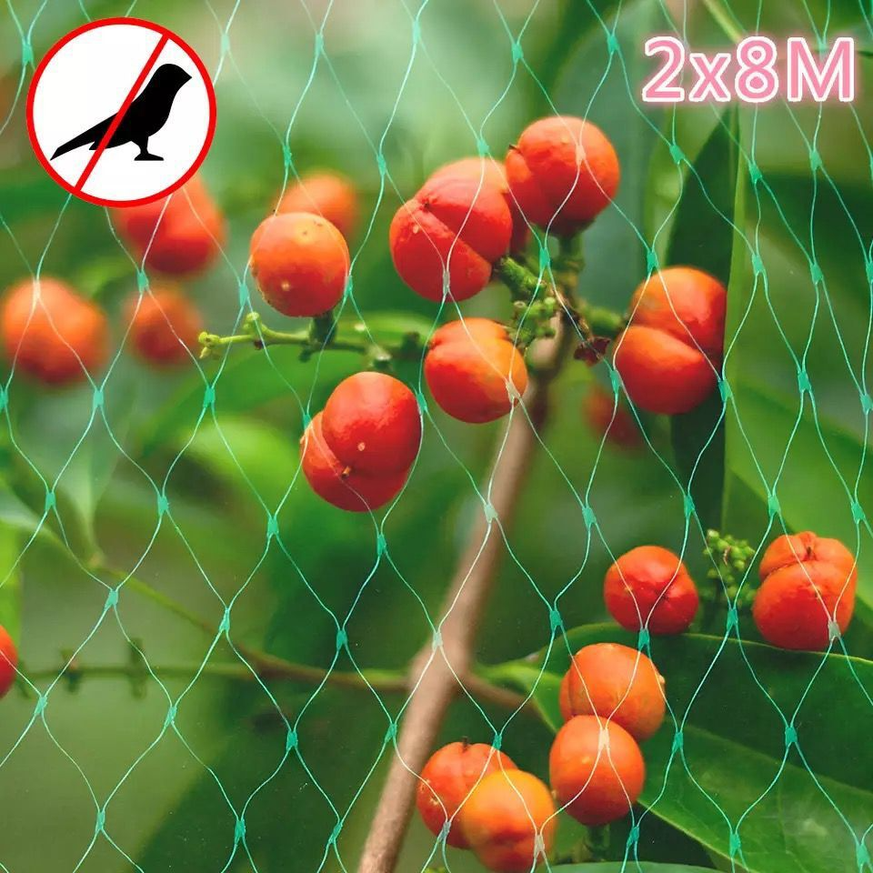 Protective Netting for Garden Plants - Green Netting Against Pests and Animals